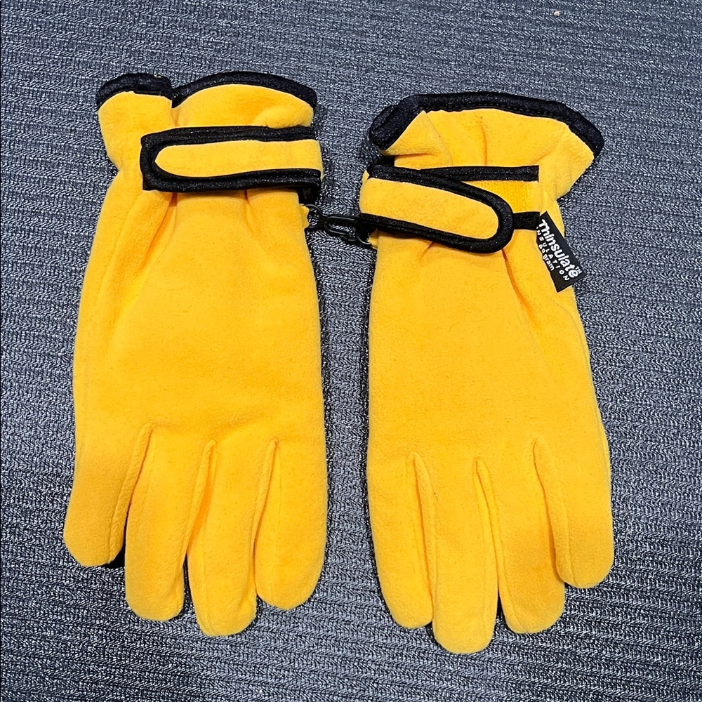 Thinsulate Gloves